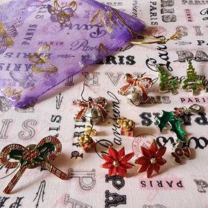 Start Early for the Next Holiday Season 4 Pairs of Earrings 1 Charm 1 Pin